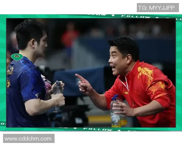 乒乓球奋斗史：杭州乒乓球队的拼搏与荣耀之路纪实