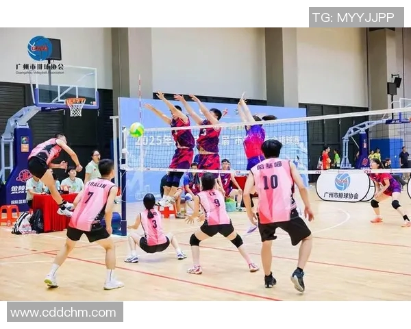 广州排球队速度惊人最新排球速度TOP10榜单揭晓 广州排球队速度惊人最新排球速度TOP10榜单揭晓