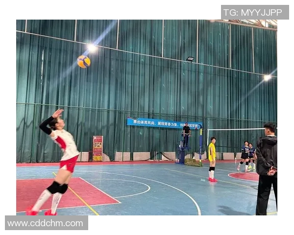 杭州排球队的默契配合与战术探讨聚焦排球的团队精神与协作技巧 杭州排球队的默契配合与战术探讨聚焦排球的团队精神与协作技巧