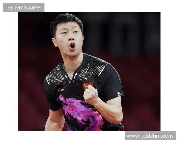 对话陈军：回顾篮球生涯中的挑战与辉煌时刻