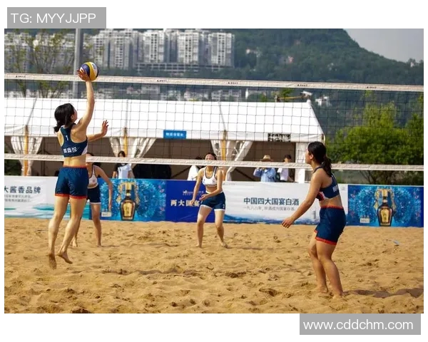 重庆排球队实力分析与发展潜力探讨聚焦排球运动的未来之路 重庆排球队实力分析与发展潜力探讨聚焦排球运动的未来之路