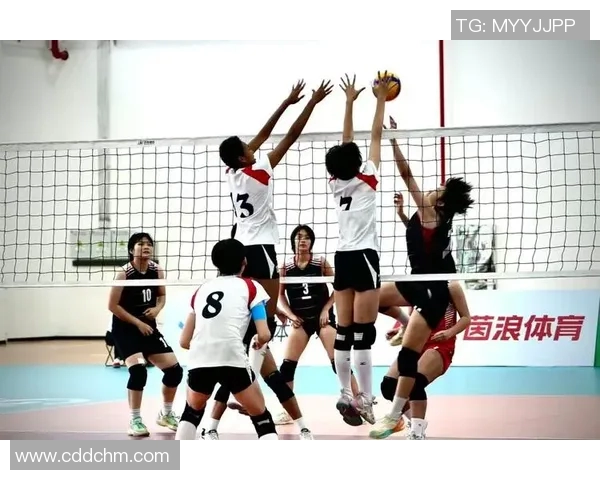 上海排球队挑战赛表现评析展现力量与团队协作的完美结合 上海排球队挑战赛表现评析展现力量与团队协作的完美结合