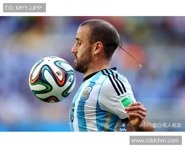 世界著名秃顶足球明星盘点及其传奇职业生涯回顾